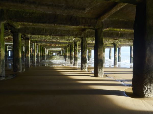 Cost of Pier And Beam Leveling in Durham